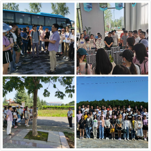 77d91b0bb5ab47cfa31ade8ea0e1a013.jpg 1_meitu_1.jpg