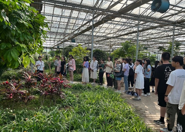 311ca06004814ff09f9768bf1cc0e447.jpg 团学吐.jpg